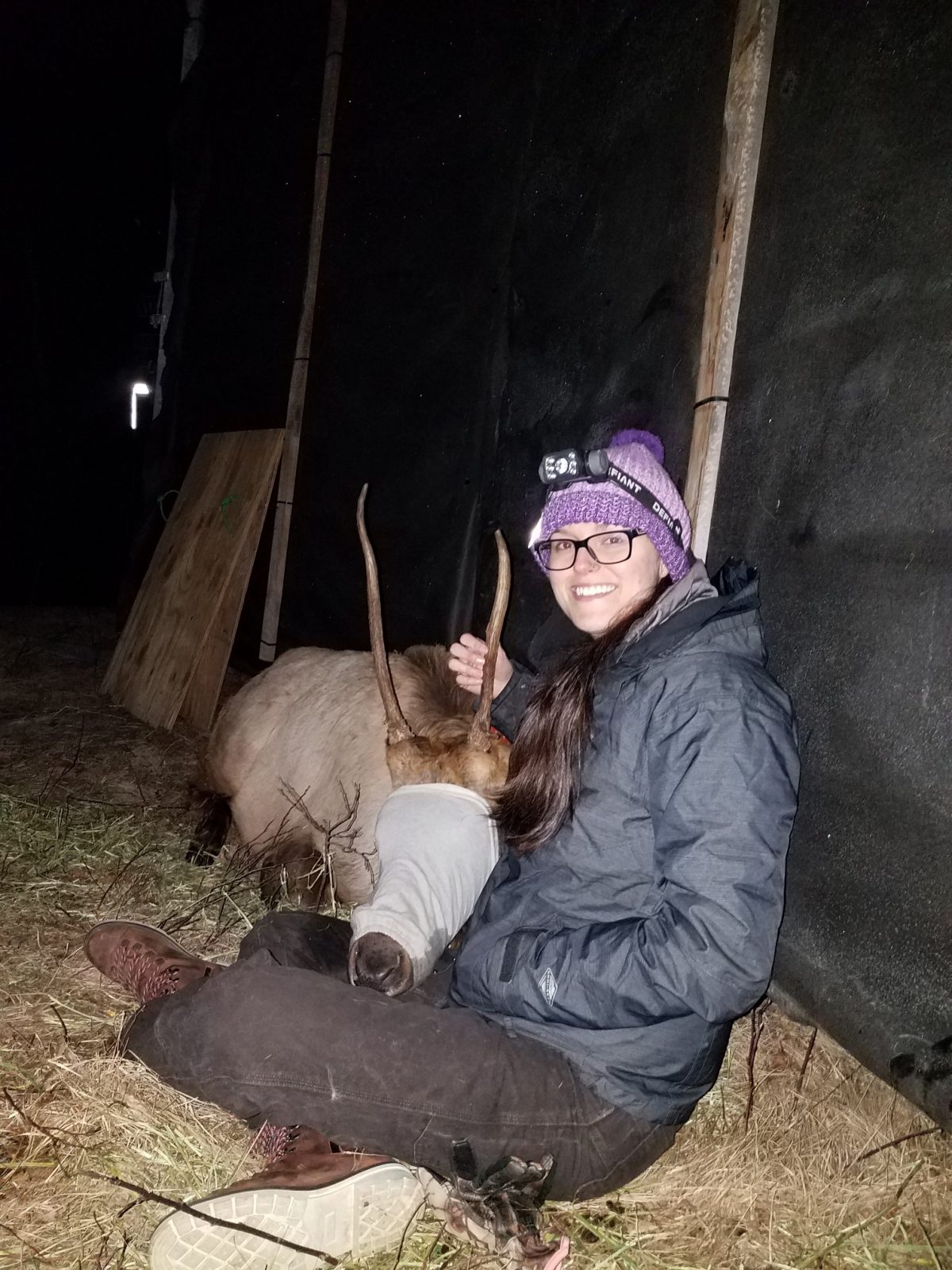 Wisconsin Elk Project Van Deelen Drake Lab
